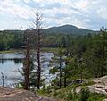 Hogback huron
