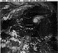 Hurricane Harvey (1981).JPG