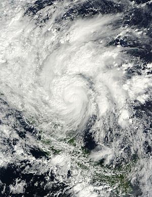 Archivo:Hurricane Ida after landfall November 5 2009