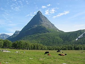 Archivo:Innerdalstårnet cows