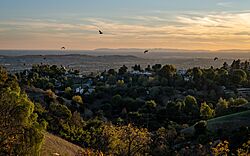 La Habra Heights.jpg