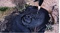 McKittrick Tar Seep North of Highway 58