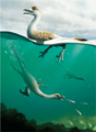 Natovenator hunting fish
