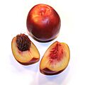 Nectarine