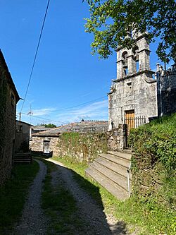 Nespereira, Sarria (3).jpg