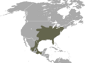 North American Least Shrew area