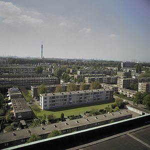 Archivo:Overzicht naar het westen, gezien vanaf flat Burghsluissingel - Rotterdam - 20398333 - RCE