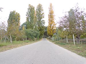 Archivo:Paisaje Sañogasteño