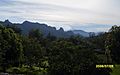 Paisaje comun en verano, en la comunidad de san andres de la cal