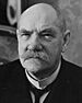 Archivo:Pehr Evind Svinhufvud (cropped)