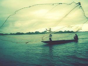 Archivo:Pescadores En La Cienaga De La Zapatosa