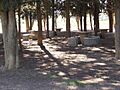 Pinar de Salas. (319682874)