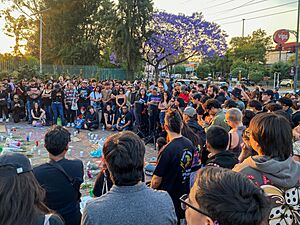 Archivo:Protesta por la muerte de los fotógrafos Berenice Giles y Miguel Hernández - 06