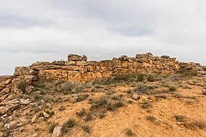 Archivo:Ruinas ciclópeas, Santa María de Huerta, Soria, España, 2018-04-06, DD 39
