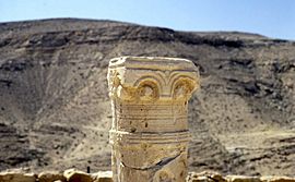 Archivo:Ruins in Negev desert Israe