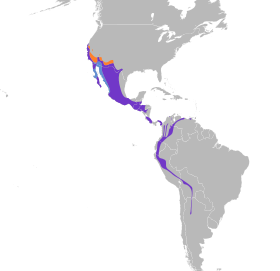 Distribución geográfica del mosquero negro.