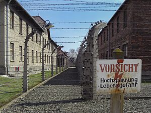 Archivo:Scene of Auschwitz I, Poland5