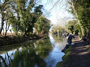 Archivo:Shaded stretch of the Kennet and Avon canal - geograph.org.uk - 1760689