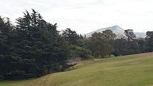 Archivo:Sierra de la Ventana. Campo de golf