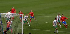 Archivo:Spain and Portugal match at the FIFA World Cup 2010-06-29 5