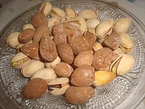 Archivo:Tapa-aperitivo de frutos secos, almendras y pistachos