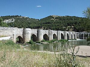Archivo:01 Cabezon de Pisuerga puente sobre el rio Lou