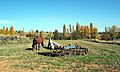 1-Arroyocerezo-paisajeRural-Horse (2016)0022-1