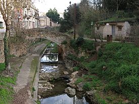 161 Pont de la Font del Bisbe, sobre el Galligants (Girona).jpg