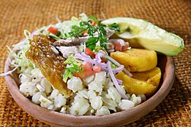 Ama la Vida - Flickr - Imbabura Hornado (23) (14294973591).jpg
