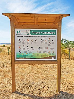 Archivo:B. Arroyo Humanejos fauna aves