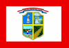 Bandera de Presidente Franco.PNG