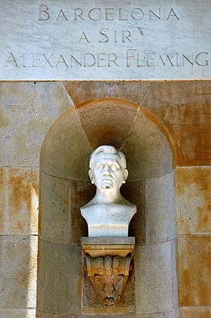 Archivo:Barcelona a Sir Alexander Fleming