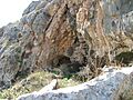 Carmel-caves