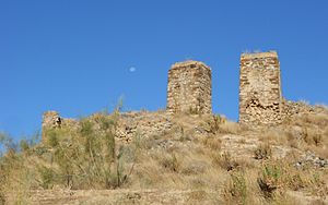Archivo:Castillo de Zalia