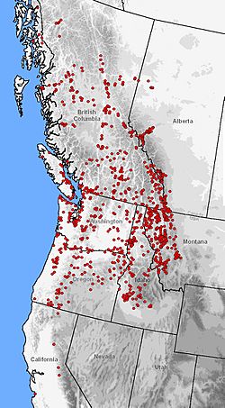 Distribución de A. macrodactylum (puntos rojos) en el oeste de América del Norte