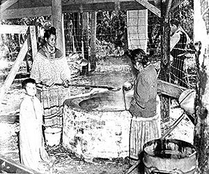 Archivo:Dones seminola