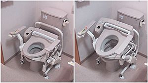 Archivo:Electric raised toilet seat for elderly