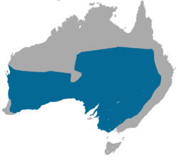 Mapa de distribución del ratón marsupial de cola gruesa