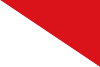 Flag of Ricaurte (Cundinamarca).svg