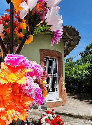 Archivo:Flor y casa antigua en Quezaltepeque