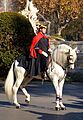 Guardia Civil gala abrigo
