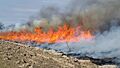 Headfire and tilled firebreak