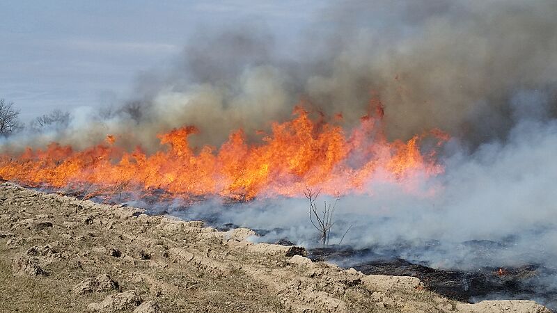 Headfire and tilled firebreak