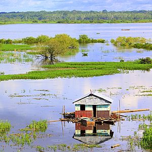 Archivo:Iquitos amazónico
