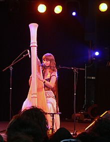 Joanna Newsom-2005-Roskilde.jpg