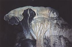 Lanquin Cave 1.jpg