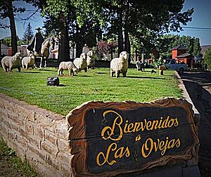 Archivo:Las Ovejas