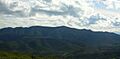 Montsia1c