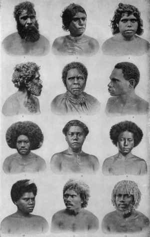 Archivo:NSRW Australian Types