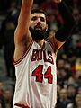 Nikola Mirotic (16240996134)